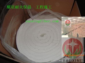 頁巖磚窯內襯吊頂施工 含鋯陶瓷纖維毯 高鋁陶瓷纖維,頁巖磚窯內襯吊頂施工 含鋯陶瓷纖維毯 高鋁陶瓷纖維生產廠家,頁巖磚窯內襯吊頂施工 含鋯陶瓷纖維毯 高鋁陶瓷纖維價格